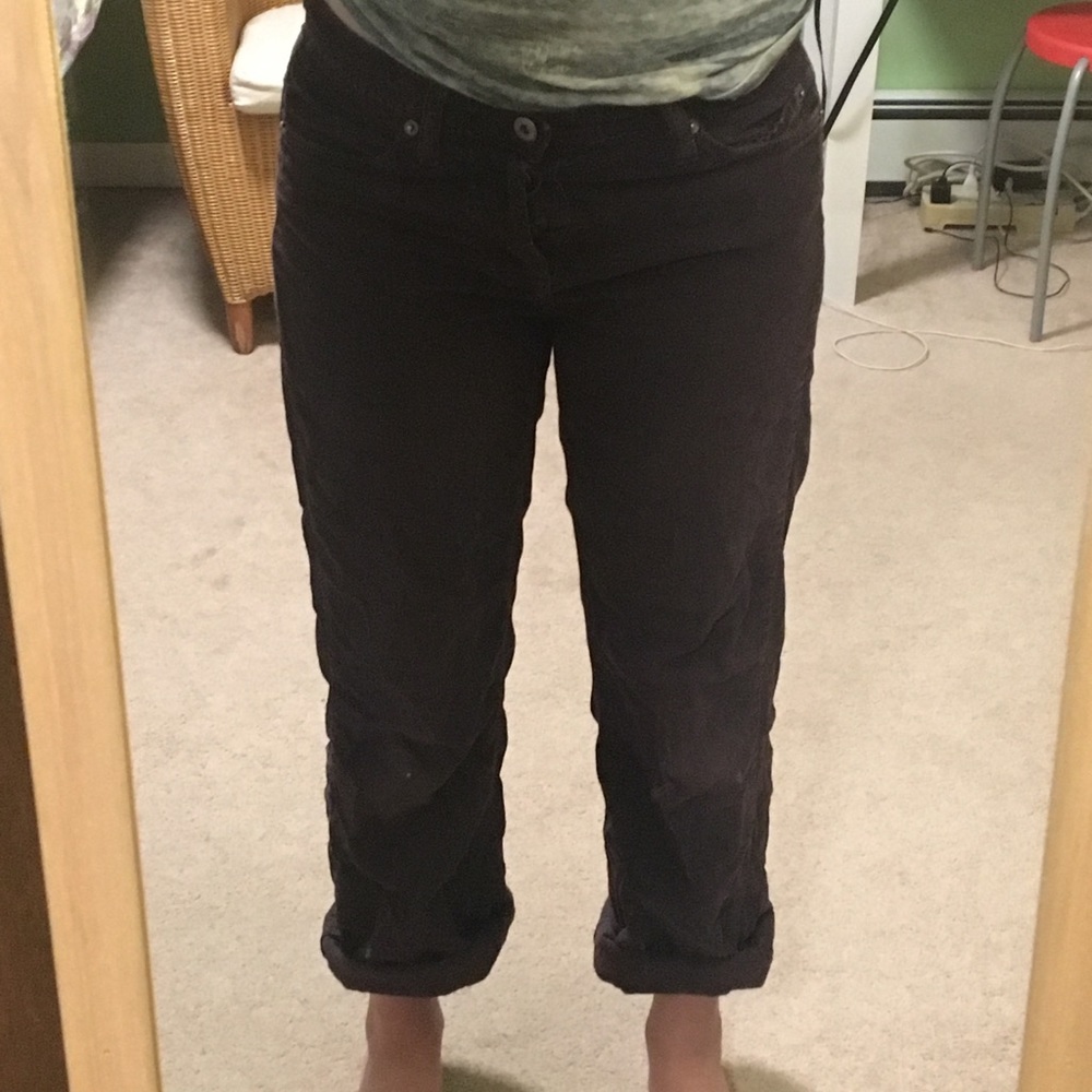 Purple Corduroy Pants
